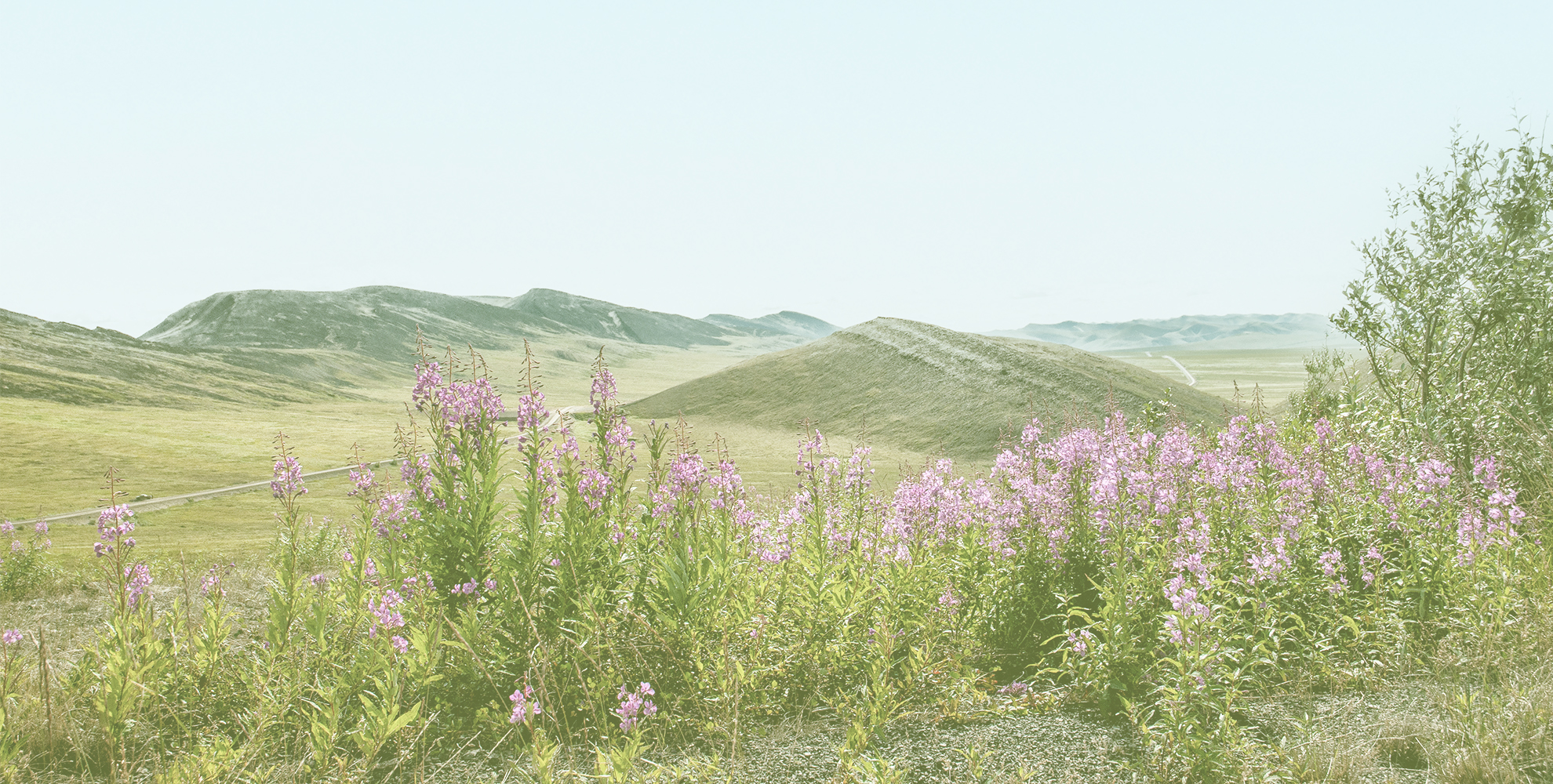 Lawyers Woodward & Company LLP